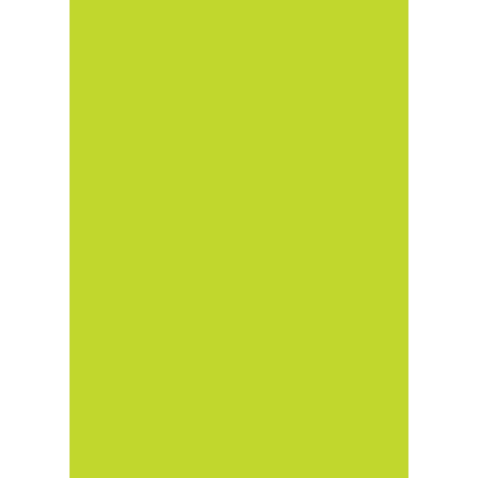 Billede af Farvet papir A4 80 gr. græsgrøn (50)