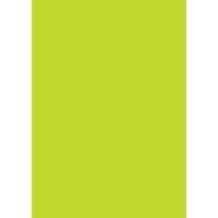Farvet papir A4 80 gr. græsgrøn (50)