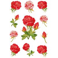 Herma stickers Decor roser (3)