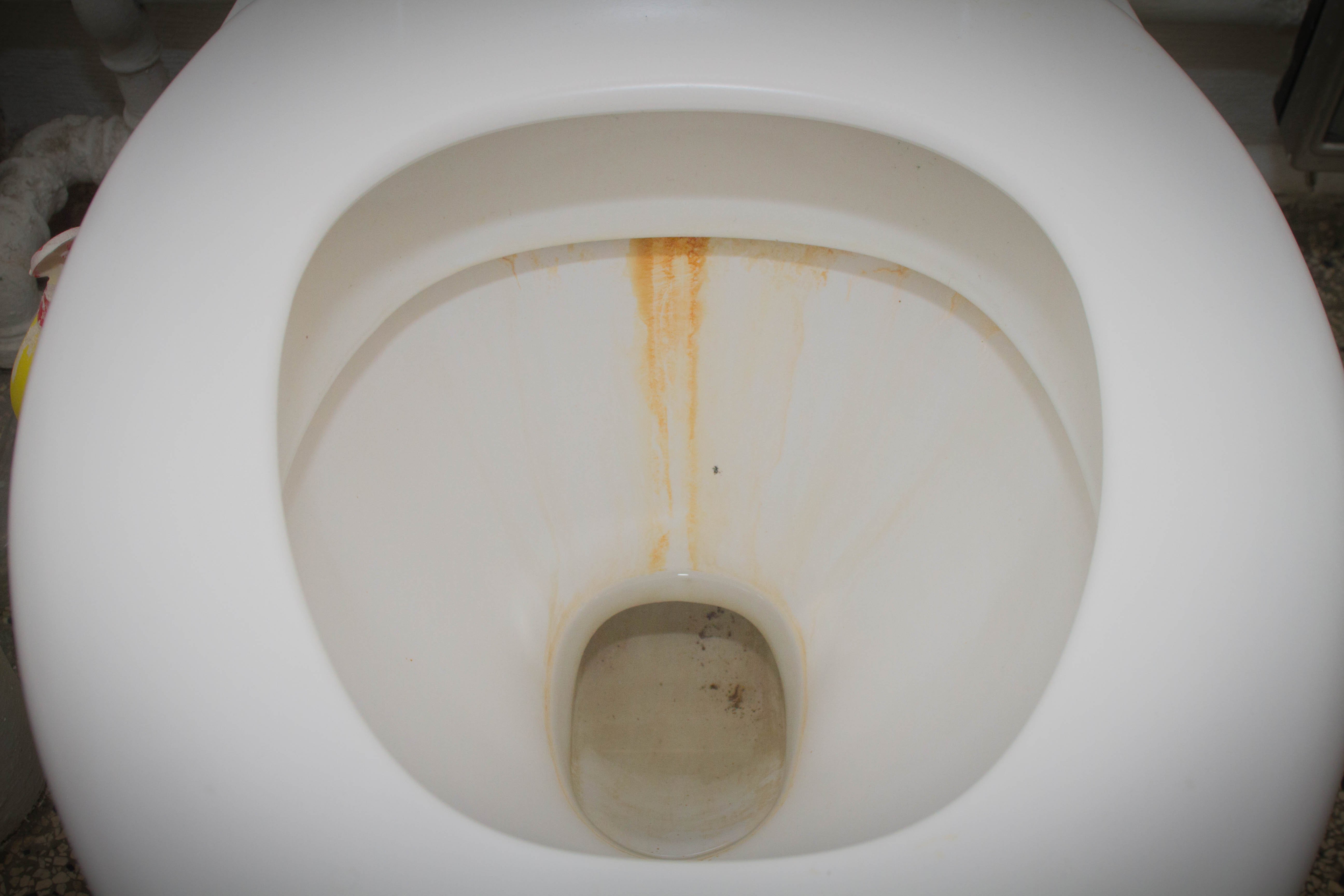 krølle Eksperiment heroisk Guide: Rengøring af toilet